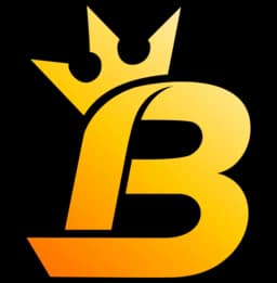 Bespoke Tint logo